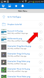 Dropbox Tutorial 17