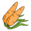 fg_materials_carrots_v2@2x
