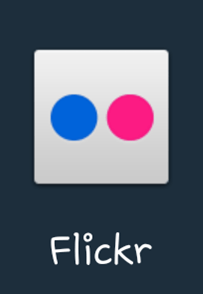 Flickr Icon