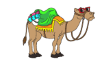 Camel