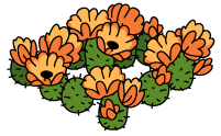 decoration_desertflower@4x