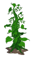 decoration_giganticbeanstalk@4x