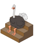 decoration_livestudioostrich@4x