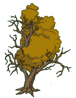 gnarlytree