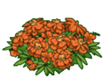 orangemarigold