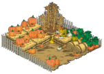 Pumpkin Patch
