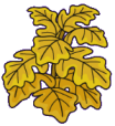 Yellow Poisonous Plant