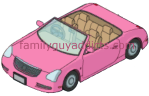 Meg's Pink Luxury Car
