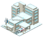 Snowy Hospital