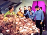 Tribbles
