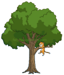 Cat Stuck in a Tree