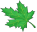 Maple Leaf