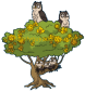 Owl Tree