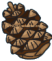 Pine Cone