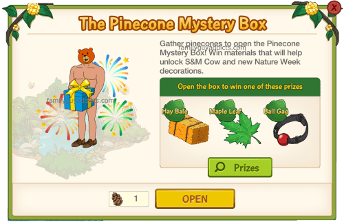 Pinecone Mystery Box