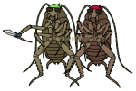 Bad Roaches