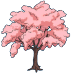 Cherry Blossom Tree