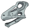 Dinosaur Skull