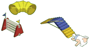 Jack Doggie Obstacle Course