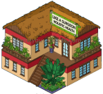 Like A Surgeon Holistic Health