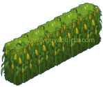 Corn Maze Fence Extended