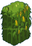 Corn Maze Fence