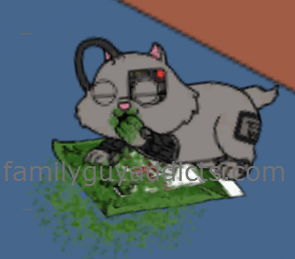 Borg Kitten Eating Catnip