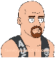 Stone Cold Steve Austin