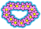 Flower Crown